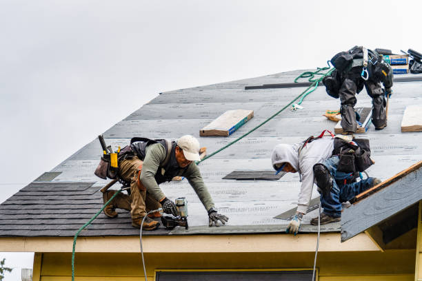 Professional Gutter Installation technician working in Collins, MO