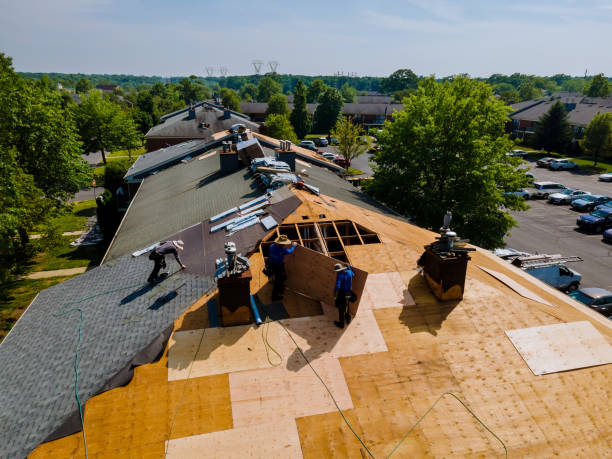 Trusted Roof Replacement service in Collins, MO - Brentwood Metal Roofing